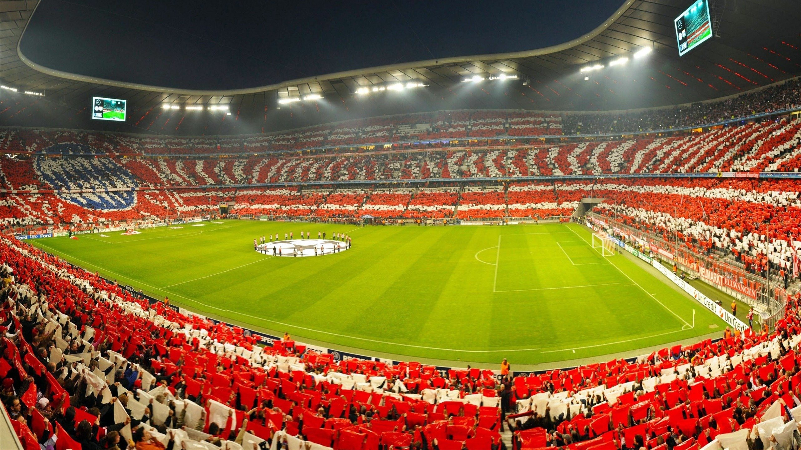 体育焦点快讯全网热议,体育焦点事