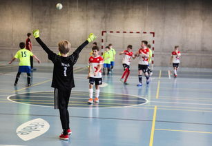 乐鱼体育-高光时刻：本赛季五大联赛的经典比赛瞬间，五大联赛上赛季排名